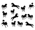 Vector images of black isolat ed silhouettes of sports galloping and jumping horses on white background Royalty Free Stock Photo